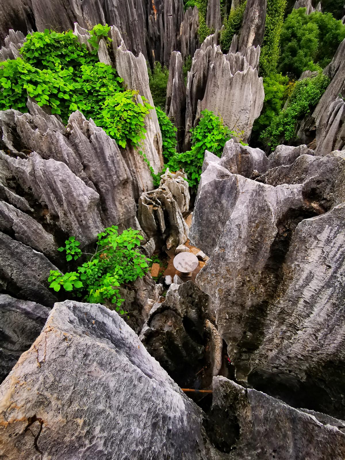 中國南方喀斯特：水流與石頭的博弈 | 手機(jī)里的中國世界遺產(chǎn)