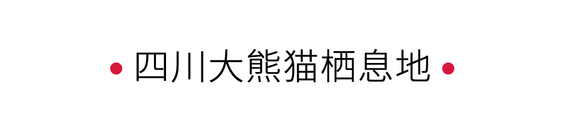 四川大熊貓棲息地：一個(gè)“活的博物館” | 手機(jī)里的中國世界遺產(chǎn)