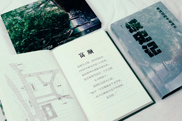 ?專訪中國社會(huì)科學(xué)院研究員楊早 不要只做城市的過客