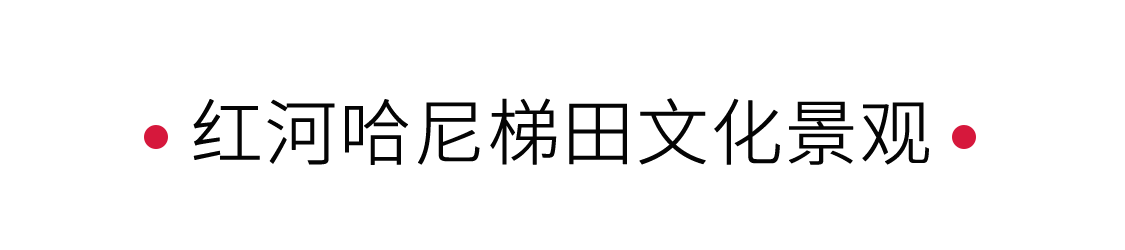 紅河哈尼梯田文化景觀：大自然的調色盤 