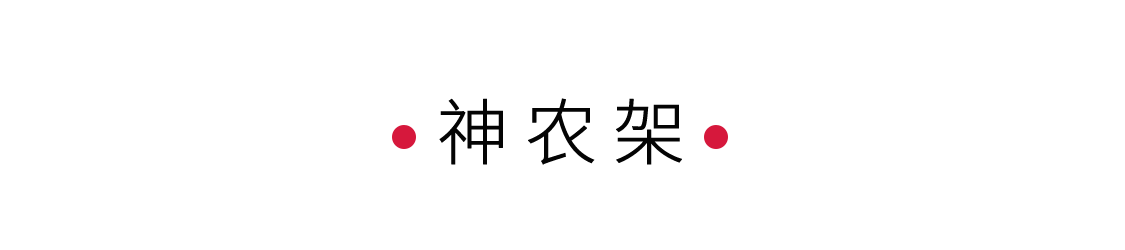 探秘生命秘境神農(nóng)架